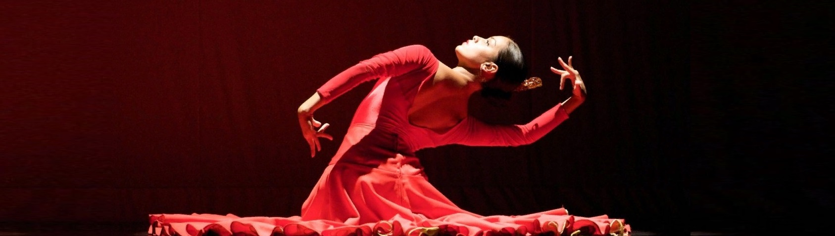 flamenko 4